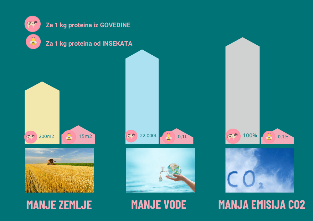 proizvodnja hrane za pse na bazi insekata troši manje resursa planeta Zemlje i tako smanjuje otisak