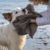 Dog Gone Smart Dirty Dog Shammy sivi ručnik za brisanje psa na otvorenom