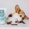 hemp super yummies natur konopljine poslastice