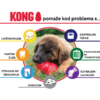 KONG pomaže psu kod različitih problema